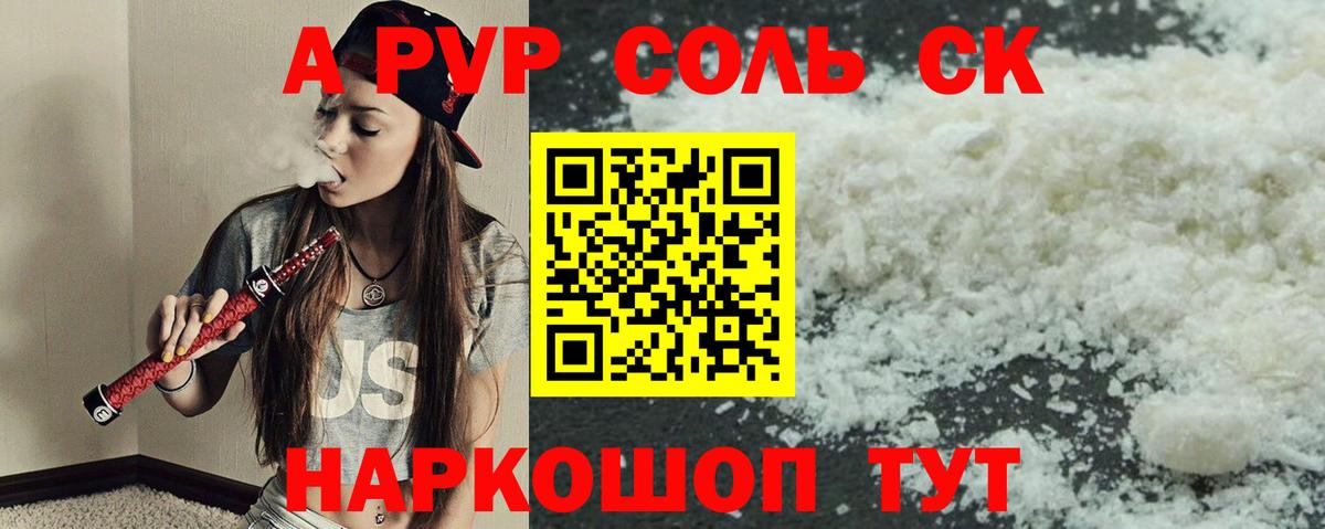 A PVP СК КРИС Нефтекумск