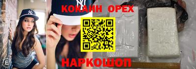 твердый Сланцы