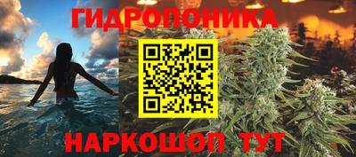 твердый Сланцы