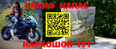 твердый Сланцы