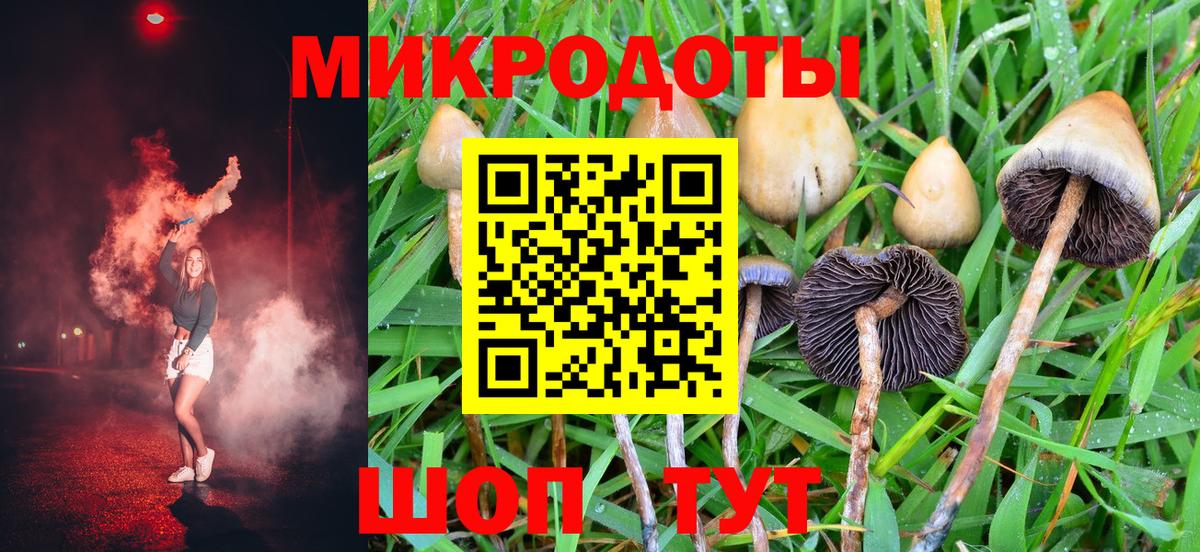 Нефтекумск  Псилоцибиновые грибы прущие грибы  Вход с VPN 
