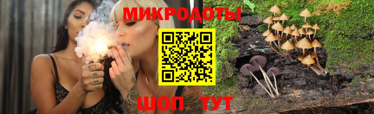 Псилоцибиновые грибы Psilocybe Нефтекумск
