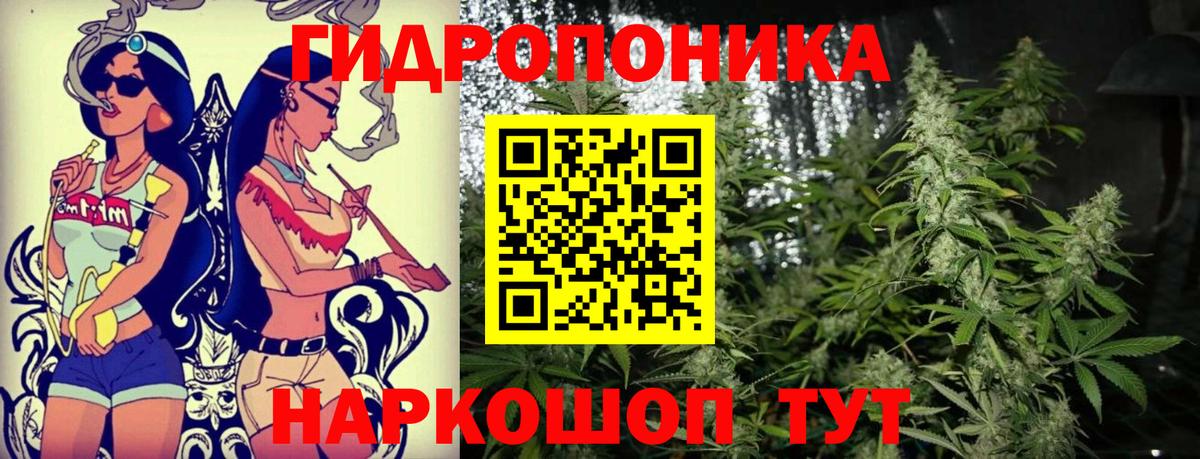 Бошки марихуана семена  Вход с VPN  Нефтекумск  Канабис тримм 
